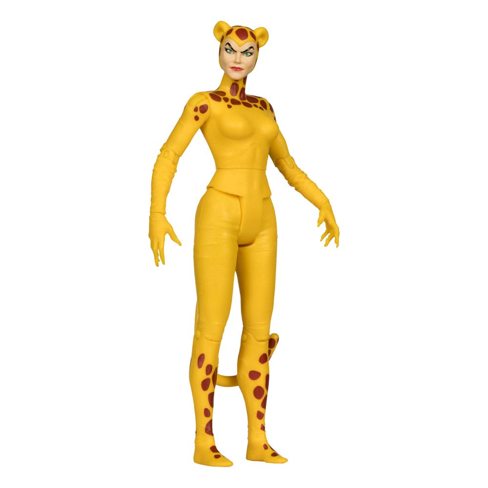 DC Retro Action Figures 15 cm Wave 13 Super Friends Sortiment (6) - immagine 7