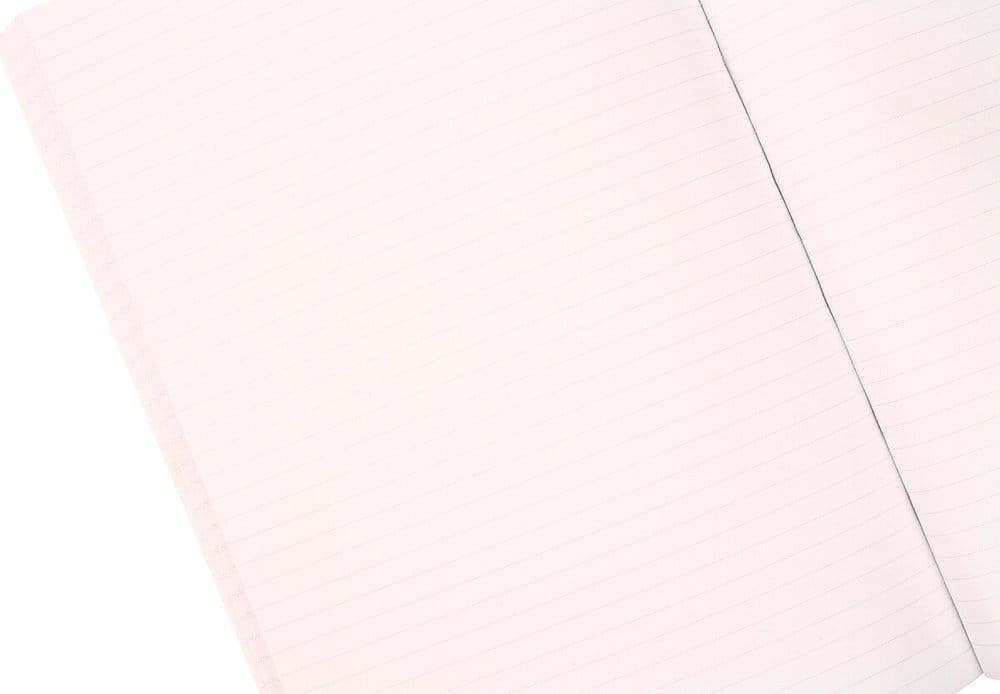 Back to the Future Premium Notebook Sports Almanac - immagine 2