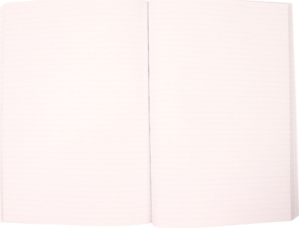 Back to the Future Premium Notebook Sports Almanac - immagine 3